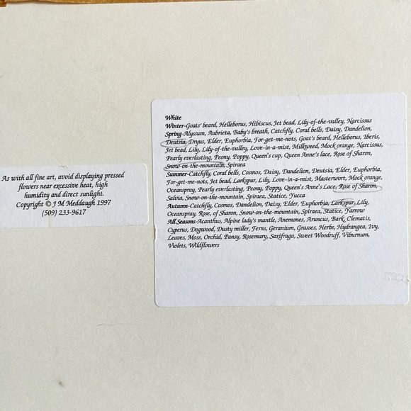 Shabby Dry Flowers in Frame Celebrate The Seasons‎ - Framed Floral Art Decor/ - Picture 15 of 16